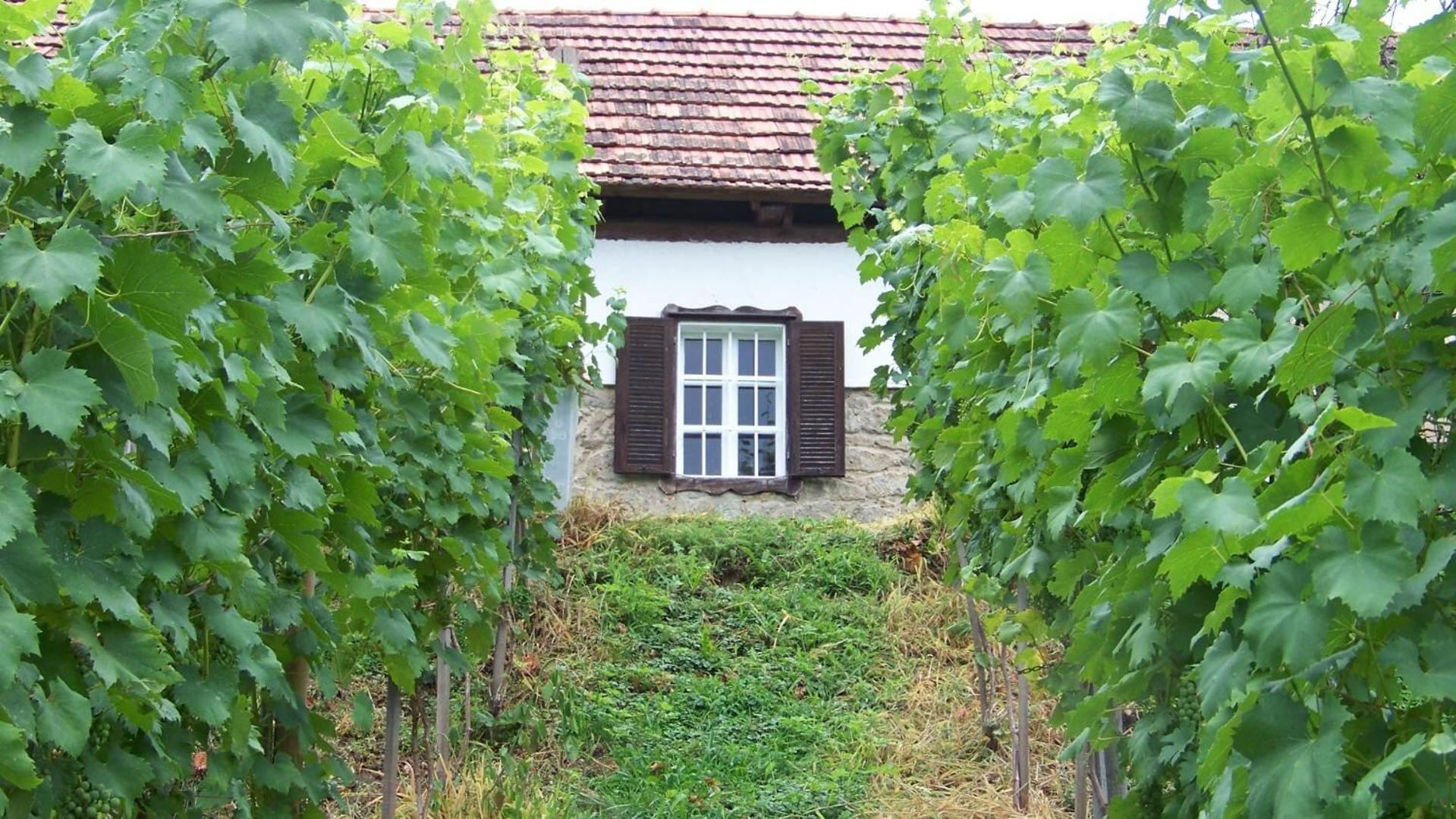 Apartment Liendl Riegersburg Exterior foto