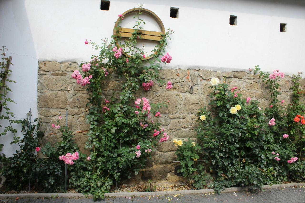 Apartment Liendl Riegersburg Exterior foto